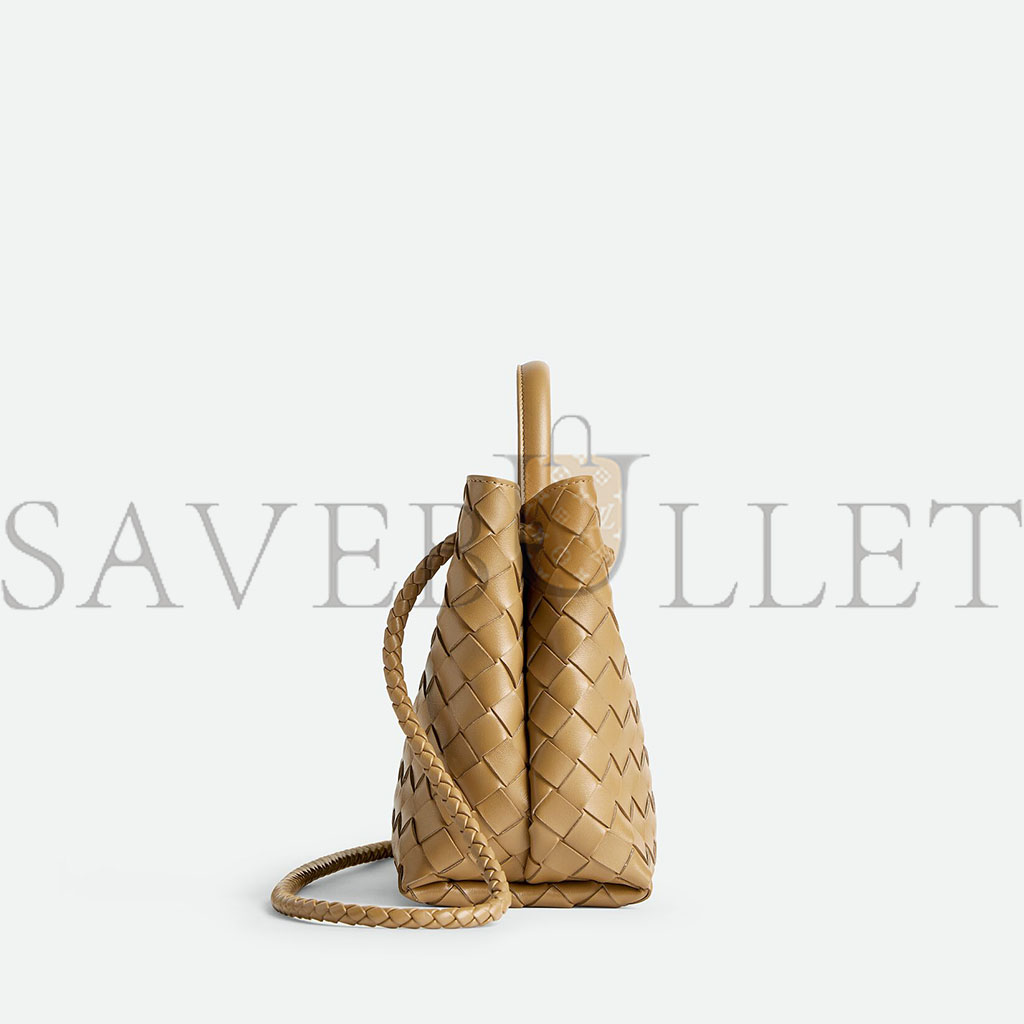 BOTTEGA VENETA SMALL ANDIAMO (25*20*10cm)